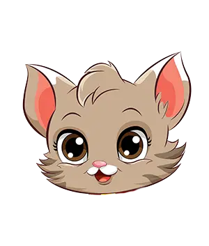 Un chat